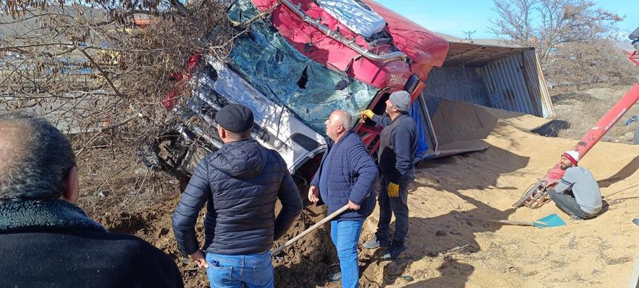 TIR, refüje ve ağaca çarparak devrildi