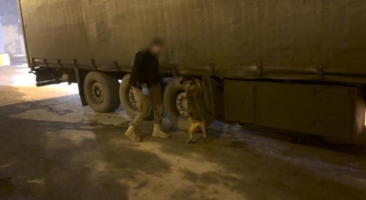 TIR'daki 51 kilo esrarı 'Mailo' buldu