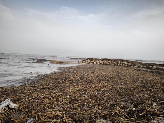 Mersin'de sağanak; dereler taştı, yolları su bastı (3)