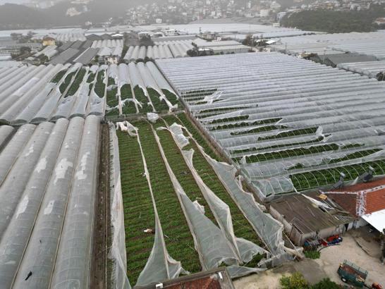 Yağmur ve hortum, sebze-meyveyi vurdu