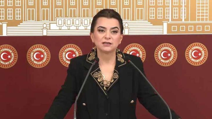 DEM Parti'li Koçyiğit: Barış yasaları ivedilikle çıkmalı