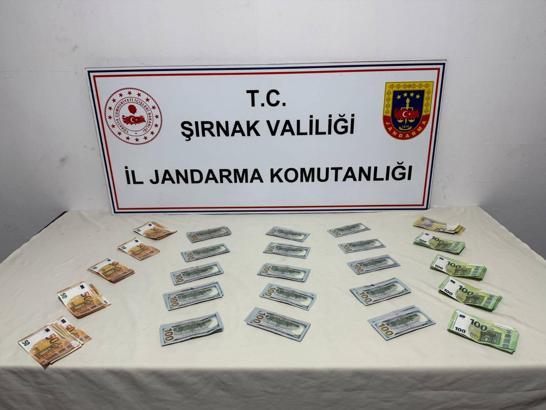 Şırnak’ta jandarma operasyonlarında 149 gözaltı