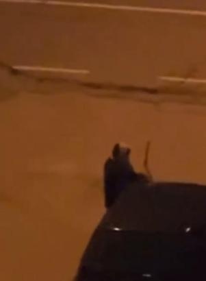 Alkollü olduğu iddia edilen kadın, araçların sileceklerini kırdı