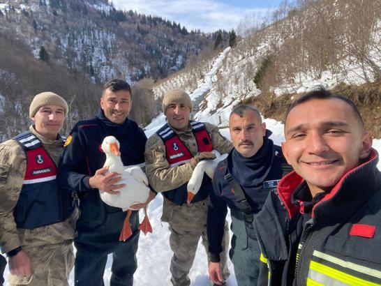 Kaybolan kazları ekipler buldu