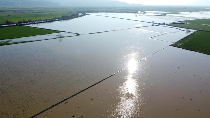 Menderes Nehri taştı: 2 bin dönümlük arazi sular altında kaldı