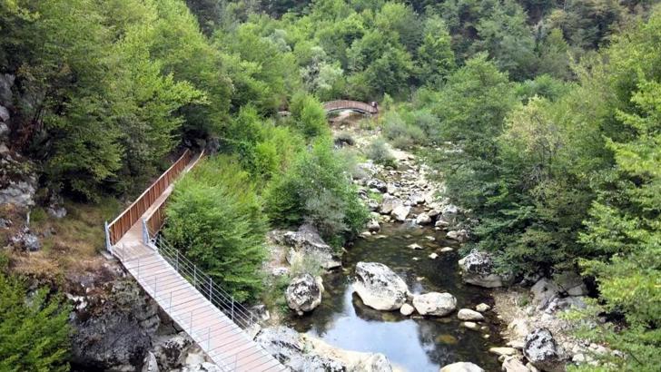 Yasa dışı avcılık yapan 4 kişiye idari yaptırım uygulandı