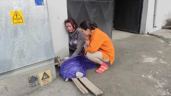 Beyoğlu’nda yangın sırasında dairede mahsur kalan kedi 'Sütlaç' için zamanla yarış