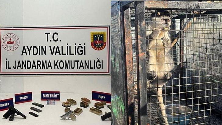 Kuşadası’nda ruhsatsız silah ve maymun ele geçirildi