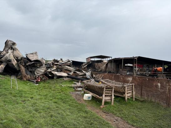 Tekirdağ'da çiftlik yangınında ölen küçükbaş sayısı 230'a yükseldi