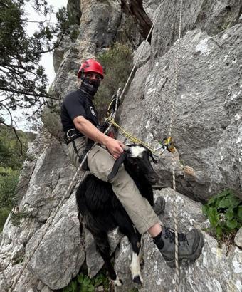 Kayalıkta mahsur kalan keçi ve kuzusunu itfaiye kurtardı