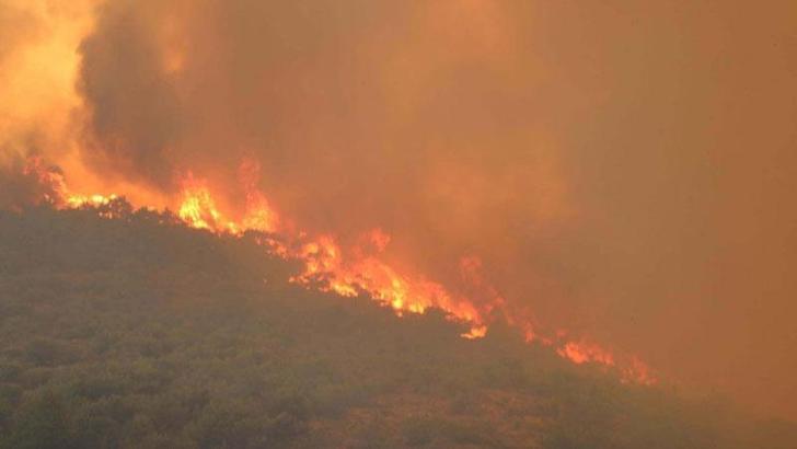 Karşıyaka- Yamanlar yangını sonrası 'rant' iddialarına ilişkin Orman Bölge Müdürlüğü'nden açıklama