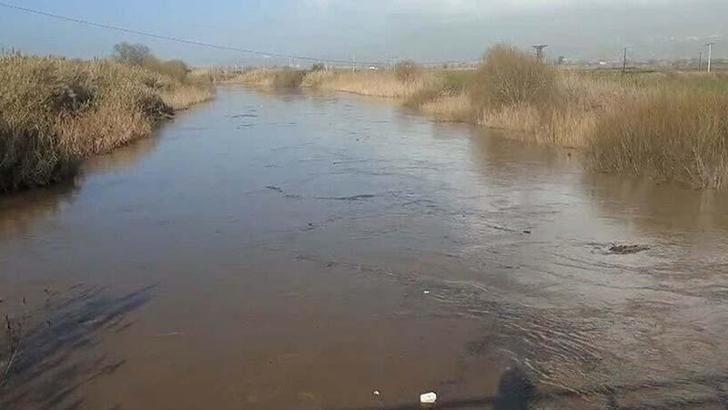Büyük Menderes Nehri yine taştı; Köşk ilçesinde tarım alanlarını su bastı