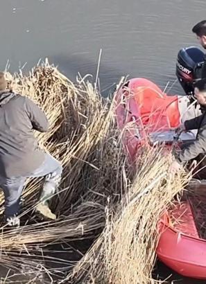 Sinop'ta yasa dışı avcılık operasyonu; 5 güme imha edildi