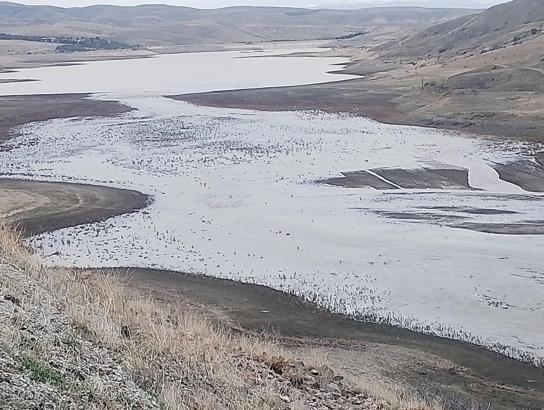 Selevir Barajı su tutmaya başladı