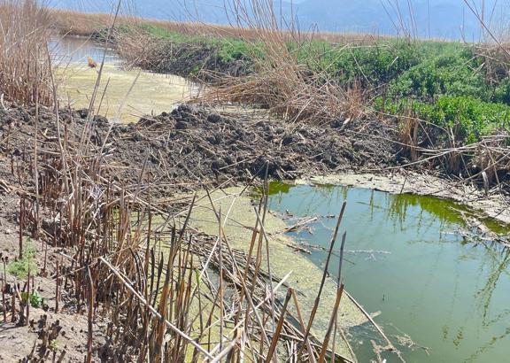 Kaçak bentler kaldırılıyor