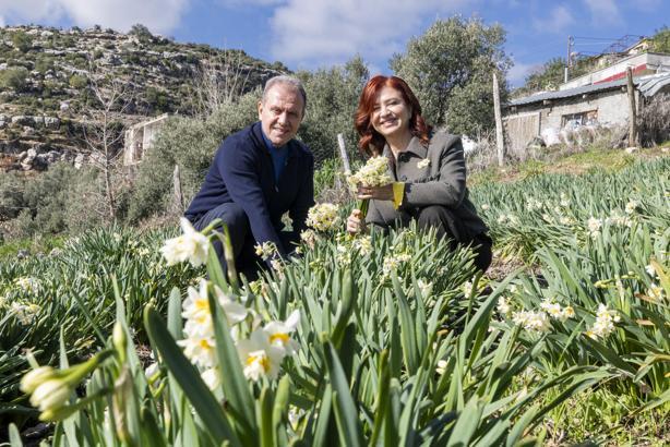 Mersin’i nergis kokusu sardı