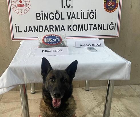 Bingöl’de 8 firari hükümlü yakalandı