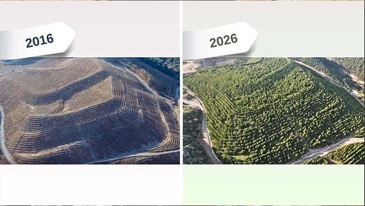 Maden sahası rehabilitasyonla yeşerdi