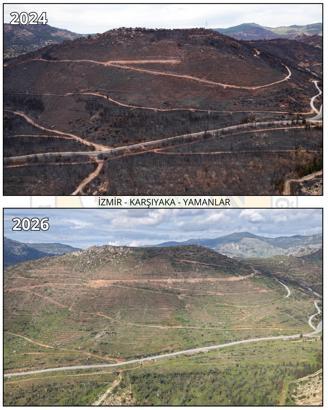 Orman yangını ile zarar gören Yamanlar, yeniden yeşile bürünüyor