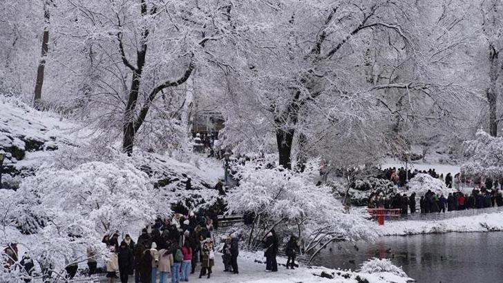 New York’ta soğuk hava nedeniyle 18 kişi hayatını kaybetti