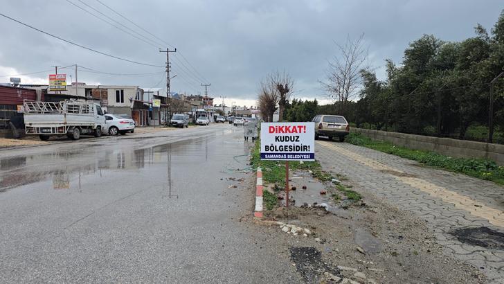 Hatay’da 4 mahalle ‘kuduz risk bölgesi’ ilan edildi