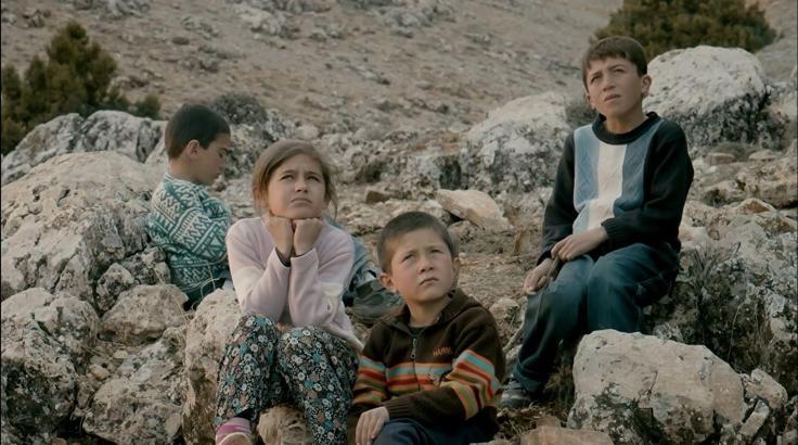 İstanbul - O minikler büyüdü; 12 yıl sonra THY’nin misafiri oldular