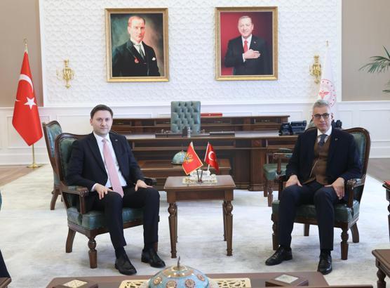 Bakan Memişoğlu, Karadağ Sağlık Bakanı Vojislav Šimun ile görüştü