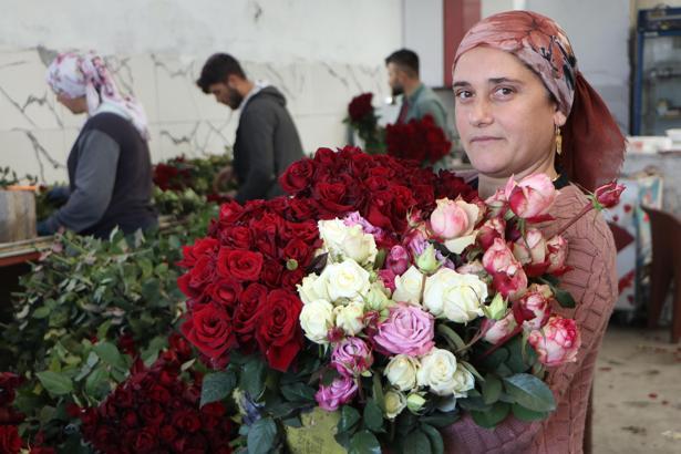 Eşi ile sevgililere rengarenk güller yetiştirdi