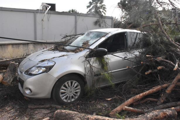 İzmir’de kuvvetli rüzgarda park halindeki otomobilin üzerine ağaç devirdi