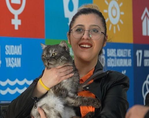 Kedi evleri hazırlayıp, sokak hayvanlarını sahiplendiler