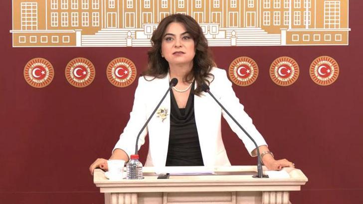 DEM Parti'li Koçyiğit: Türkiye'nin geleceği için rapor önemli bir eşik olacak