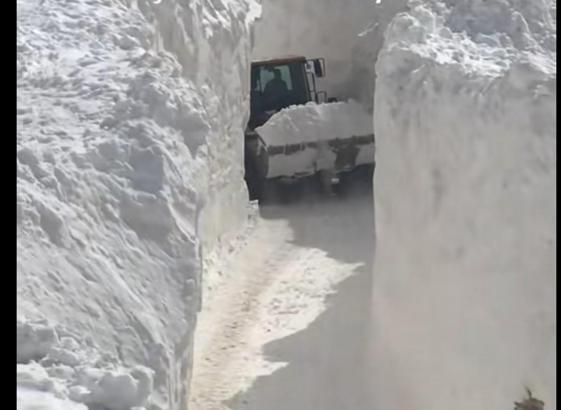 Van’da çığ düşen mahalle yolunda karla mücadele sürüyor