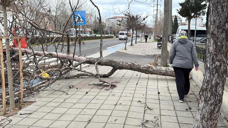 Edirne ve Kırklareli için 'fırtına' uyarısı