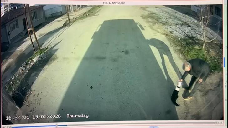 Başı konserve kutusuna sıkışan kediyi otobüs şoförü kurtardı