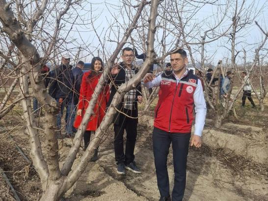 Düziçi'nde budama çalışması