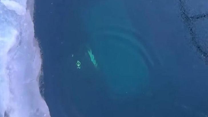 Rusya’da Baykal Gölü’nde tur aracı buzun altına düştü: 8 ölü