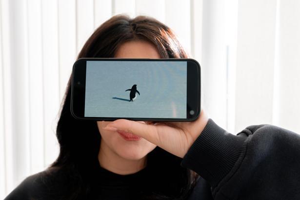 'Nihilist penguen'e kendi yalnızlığımızı yükledik'