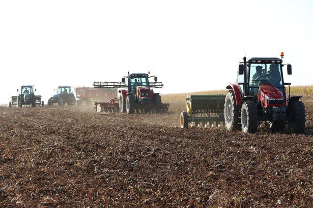 Mardin'de kar ve yağmur, çiftçiyi sevindirdi; bereket yılı bekleniyor