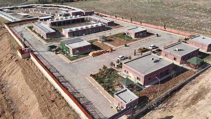 Şanlıurfa'da 27 bin sokak köpeği, bakımevlerine götürüldü