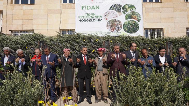 Şırnak’ta 110 çiftçiye yüzde 75 hibe destekli 25 bin 200 fidan dağıtıldı