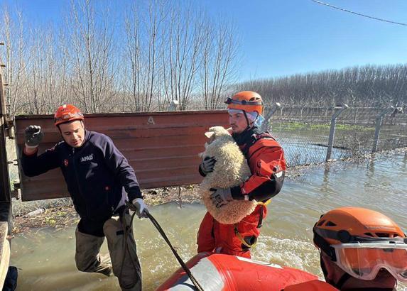 Edirne'de nehirlerin debileri arttı, köprüler trafiğe kapatıldı (2)