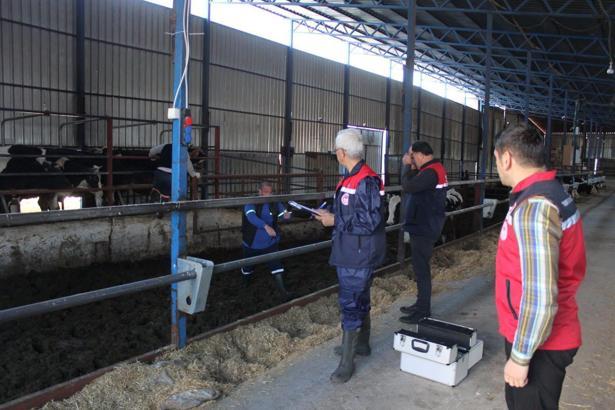 Şap hastalığına karşı saha çalışması
