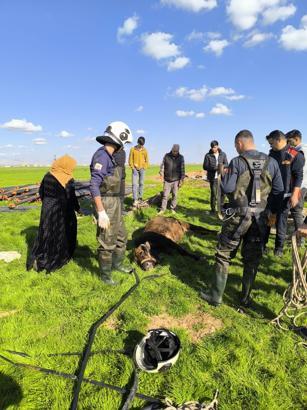 Mardin’de kuyuya düşen inek kurtarıldı