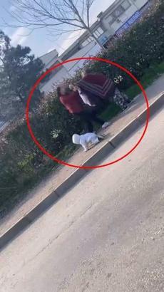 Bursa'da iki kadın dilencinin yanlarındaki bebeğe rağmen yer kavgası kamerada