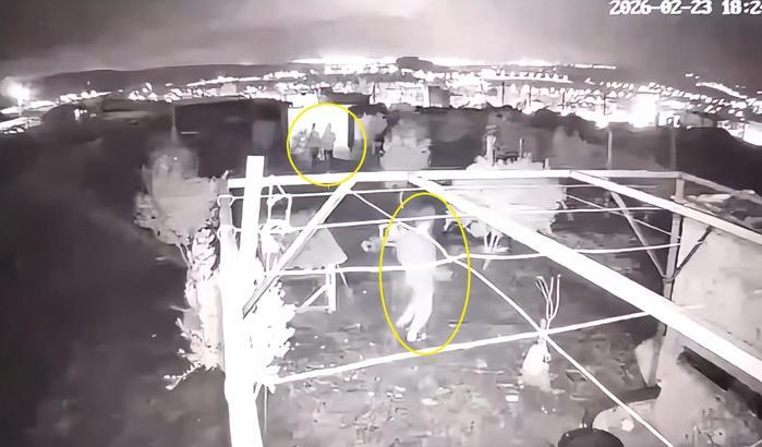 Osmaniye’de güvercin hırsızlığı kamerada