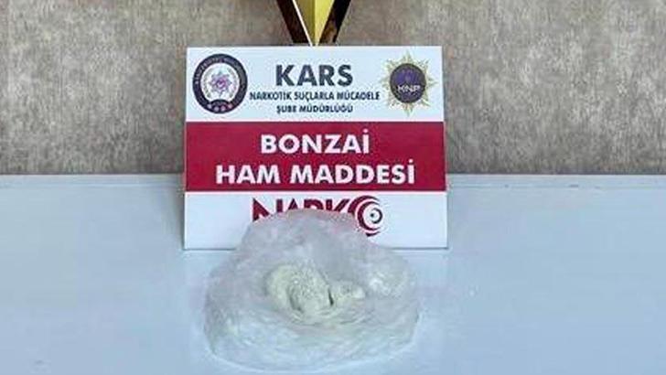 Evden kilolarca uyuşturucu üretecek saf bonzai çıktı