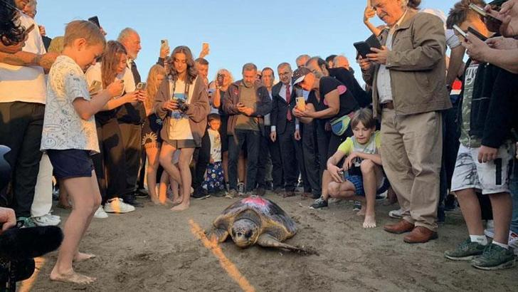 Caretta caretta 'Cumhuriyet'i 10 bin kişi izledi