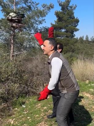 Osmaniye’de tedavi edilen 2 şahin doğaya salındı