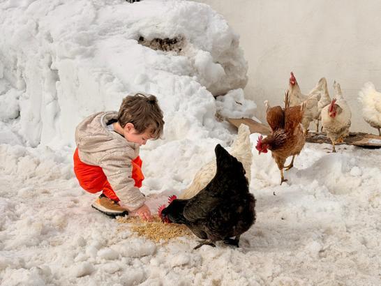 Evlenip Tunceli’ye yerleşti, köy hayatına 2 yaşındaki oğlu Güneş'i de alıştırıyor / Ek fotoğraflar