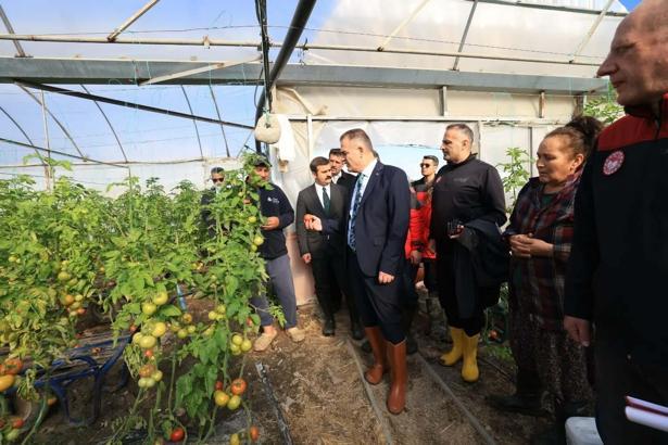 Vali Akbıyık'tan afetten zarar gören seralarda inceleme